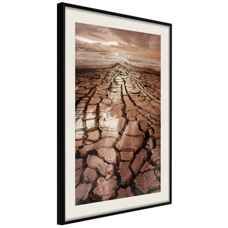 Poster Drought - desert landscape against a cloudy sky background in brown 119148 additionalImage 3