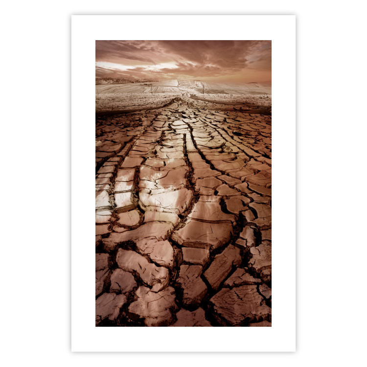 Poster Drought - desert landscape against a cloudy sky background in brown 119148 additionalImage 25
