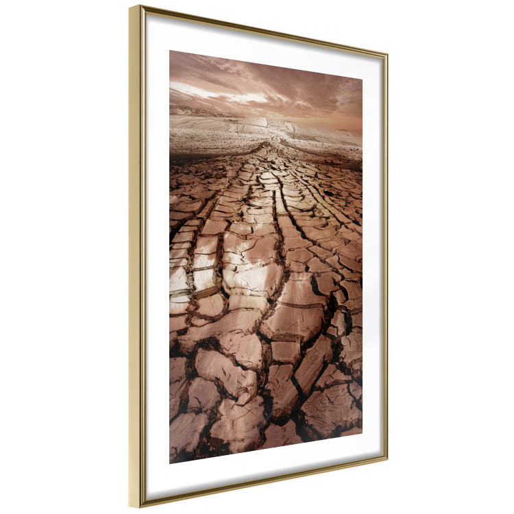 Poster Drought - desert landscape against a cloudy sky background in brown 119148 additionalImage 8