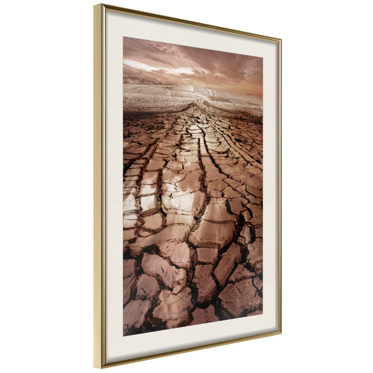 Poster Drought - desert landscape against a cloudy sky background in brown 119148 additionalImage 2