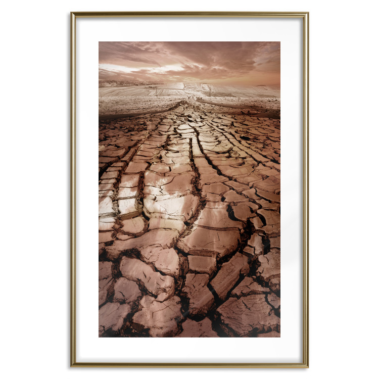 Poster Drought - desert landscape against a cloudy sky background in brown 119148 additionalImage 16
