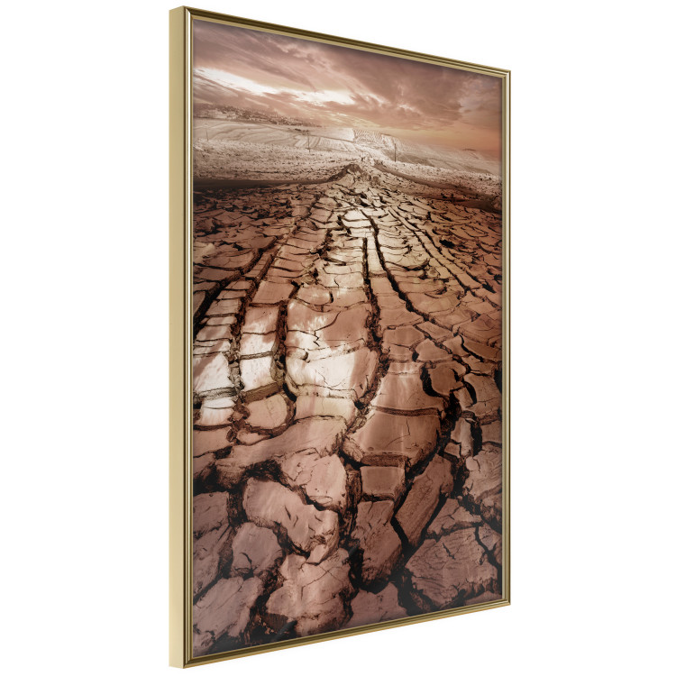 Poster Drought - desert landscape against a cloudy sky background in brown 119148 additionalImage 12