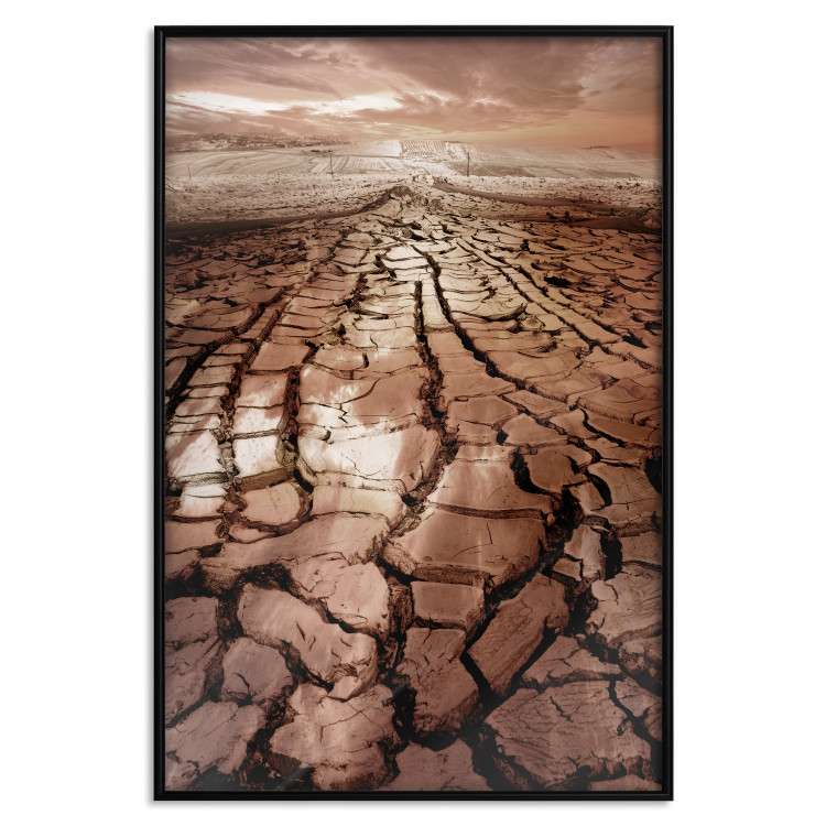 Poster Drought - desert landscape against a cloudy sky background in brown 119148 additionalImage 24