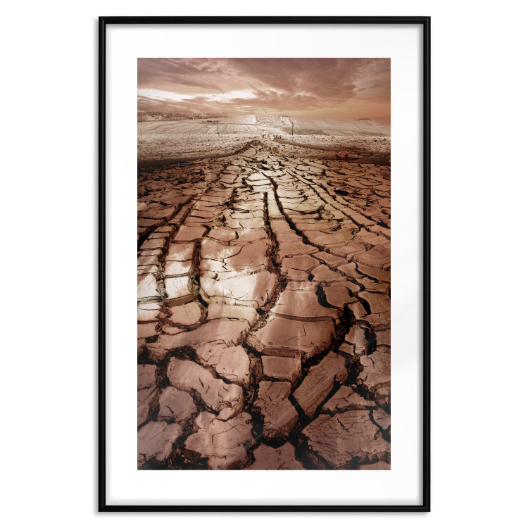 Poster Drought - desert landscape against a cloudy sky background in brown 119148 additionalImage 15