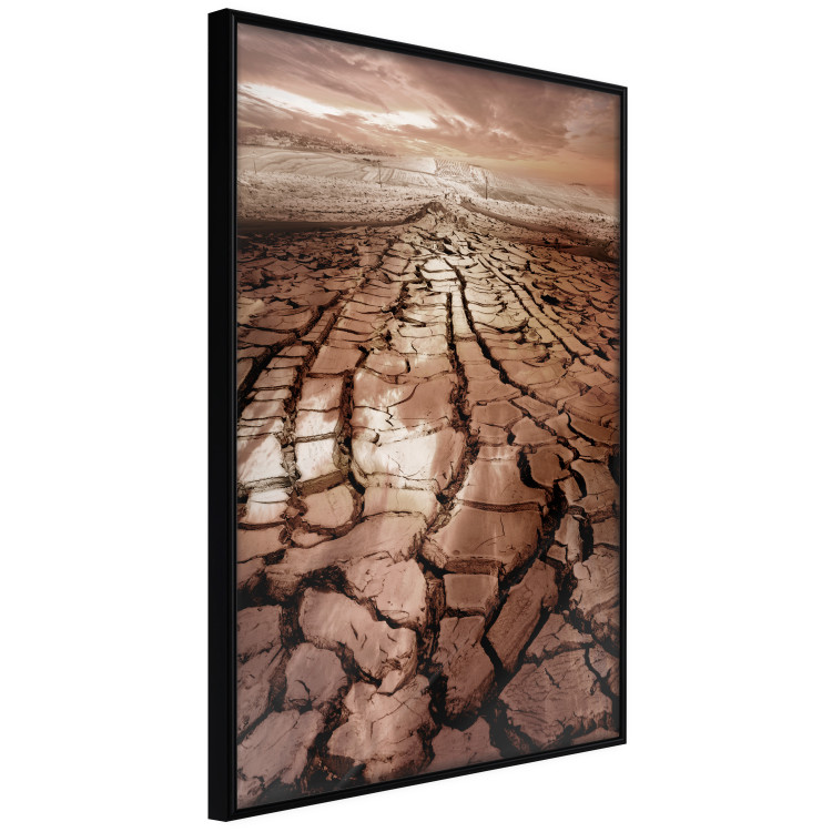Poster Drought - desert landscape against a cloudy sky background in brown 119148 additionalImage 12