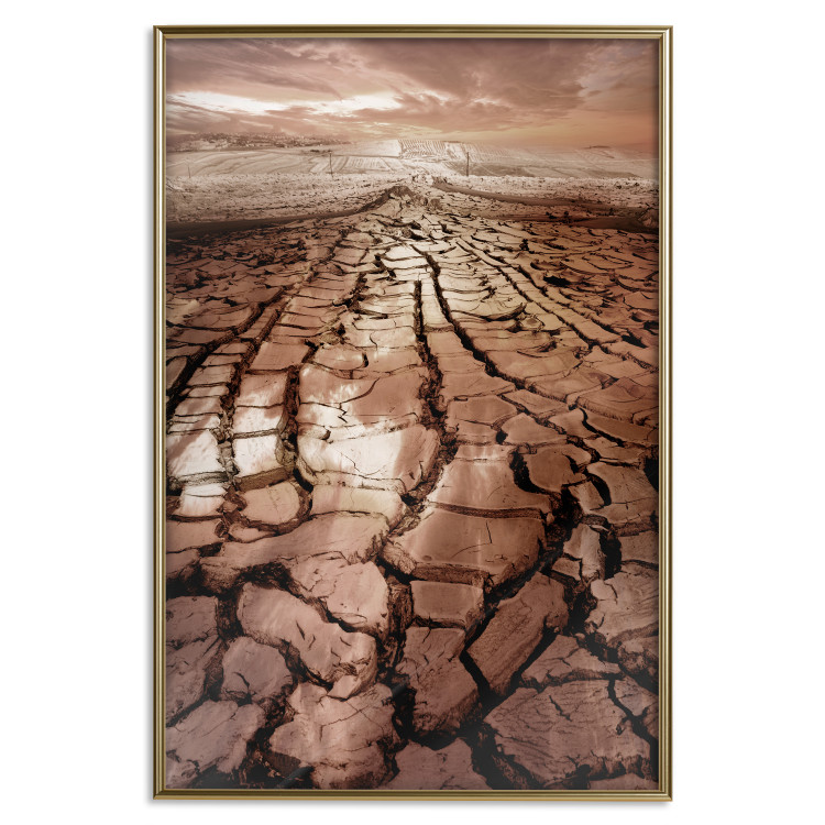 Poster Drought - desert landscape against a cloudy sky background in brown 119148 additionalImage 20