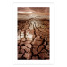 Poster Drought - desert landscape against a cloudy sky background in brown 119148 additionalThumb 25