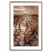 Poster Drought - desert landscape against a cloudy sky background in brown 119148 additionalThumb 16