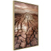 Poster Drought - desert landscape against a cloudy sky background in brown 119148 additionalThumb 14