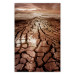 Poster Drought - desert landscape against a cloudy sky background in brown 119148
