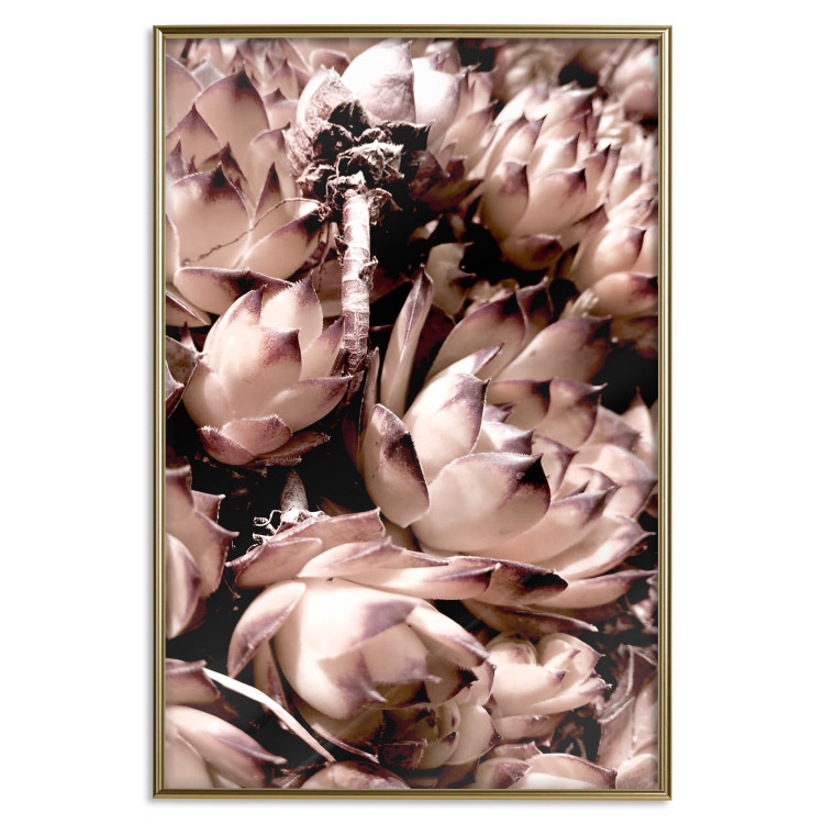 Poster Orpheus - natural plants with white flowers and purple details 122648 additionalImage 20