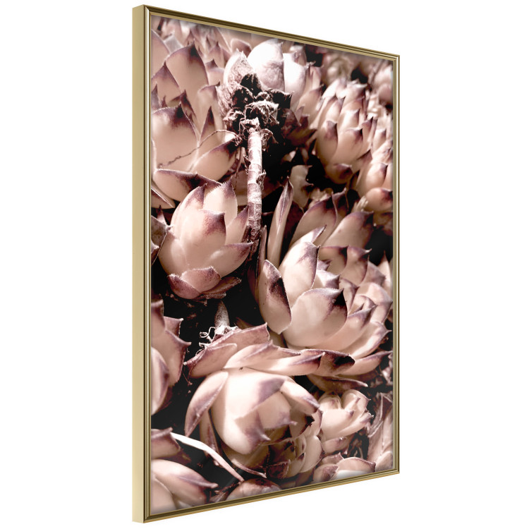 Poster Orpheus - natural plants with white flowers and purple details 122648 additionalImage 12