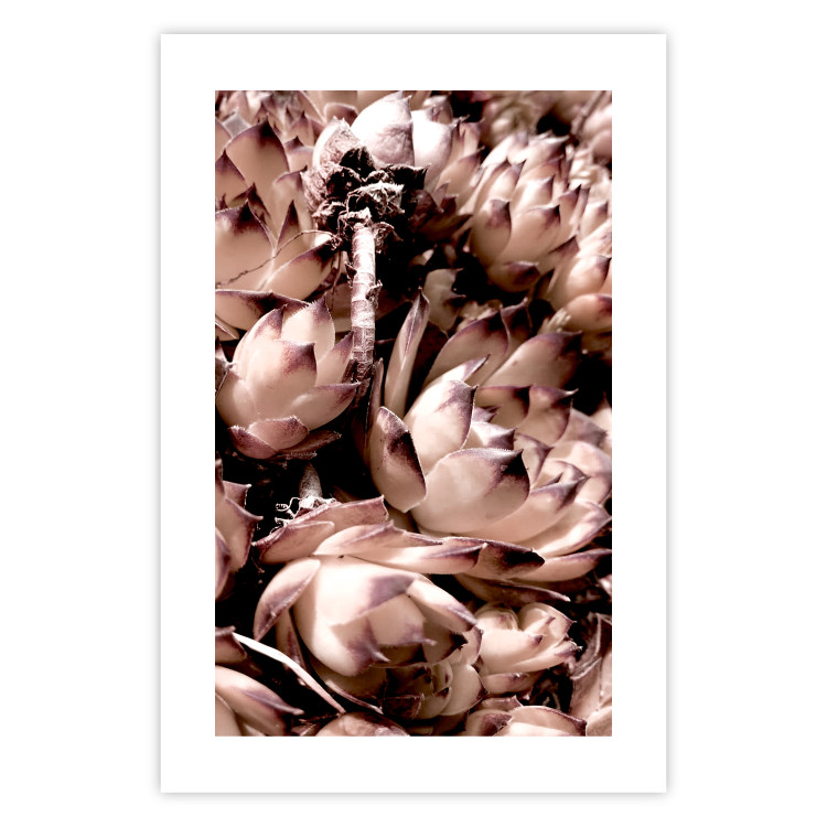 Poster Orpheus - natural plants with white flowers and purple details 122648 additionalImage 25