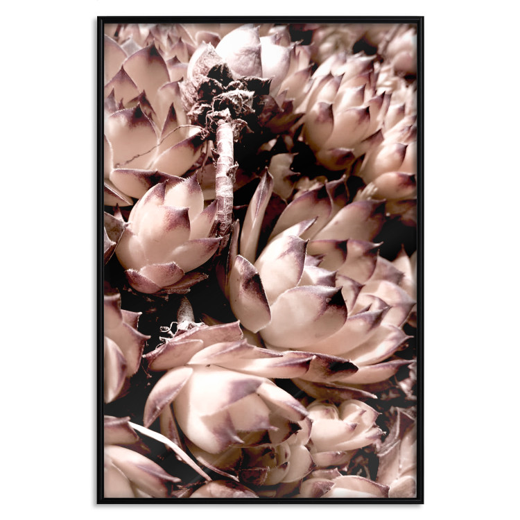 Poster Orpheus - natural plants with white flowers and purple details 122648 additionalImage 24