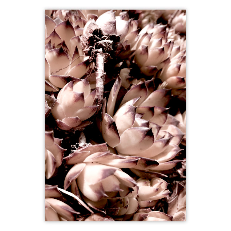 Poster Orpheus - natural plants with white flowers and purple details 122648