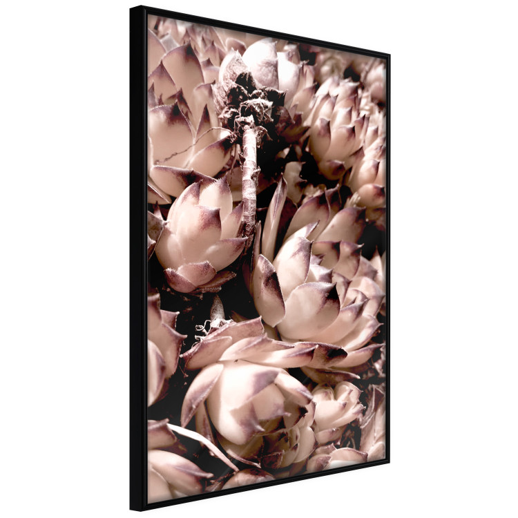 Poster Orpheus - natural plants with white flowers and purple details 122648 additionalImage 12