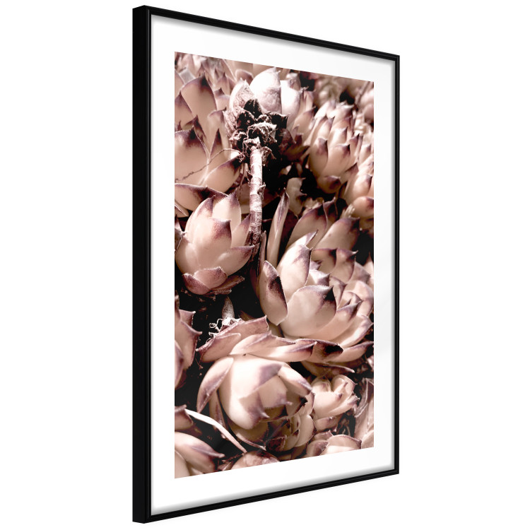 Poster Orpheus - natural plants with white flowers and purple details 122648 additionalImage 11