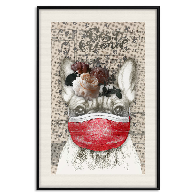 Wall Poster Rufio - humorous fantasy with a purebred dog in a mask and text in the background 129148 additionalImage 19