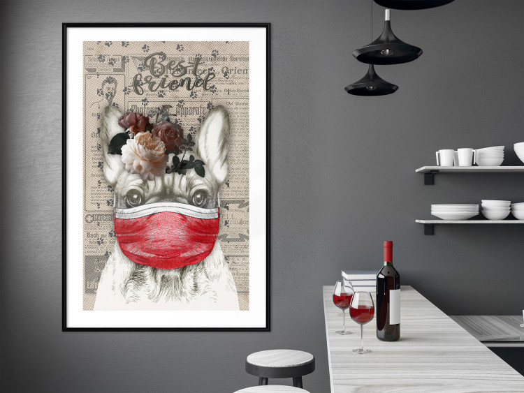 Wall Poster Rufio - humorous fantasy with a purebred dog in a mask and text in the background 129148 additionalImage 18