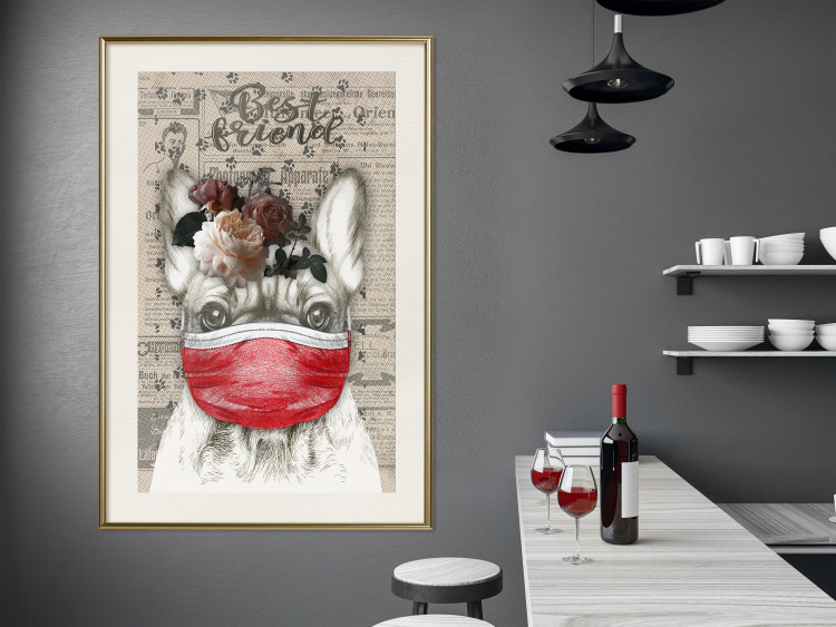 Wall Poster Rufio - humorous fantasy with a purebred dog in a mask and text in the background 129148 additionalImage 22