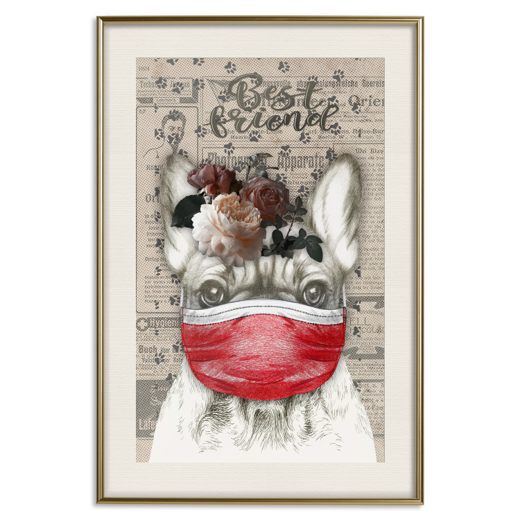 Wall Poster Rufio - humorous fantasy with a purebred dog in a mask and text in the background 129148 additionalImage 20