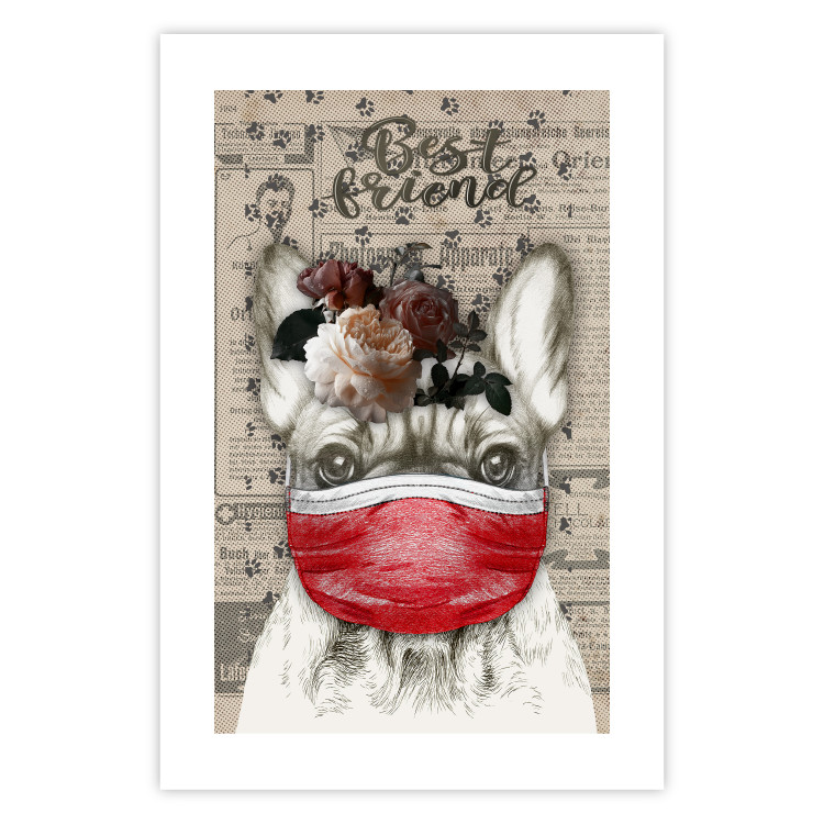 Wall Poster Rufio - humorous fantasy with a purebred dog in a mask and text in the background 129148 additionalImage 25
