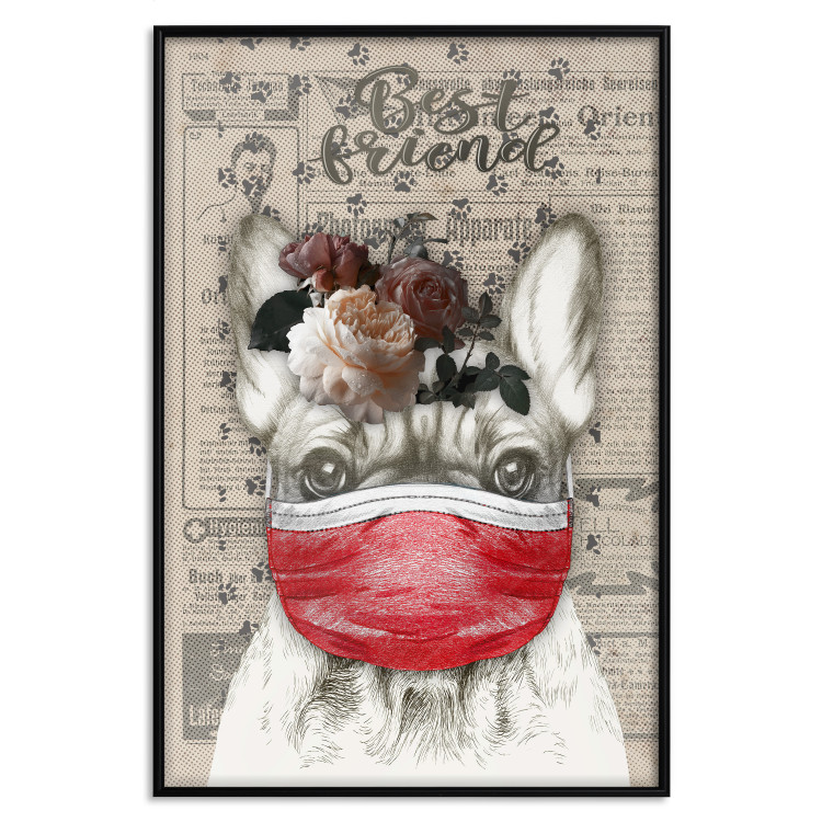 Wall Poster Rufio - humorous fantasy with a purebred dog in a mask and text in the background 129148 additionalImage 18