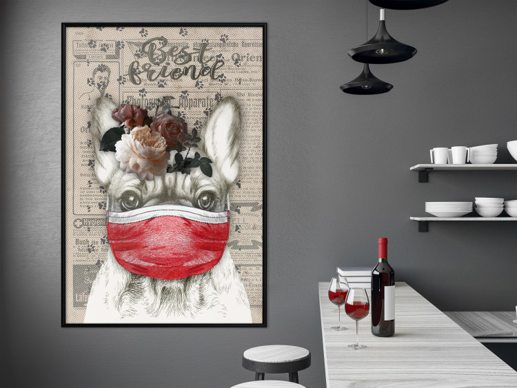 Wall Poster Rufio - humorous fantasy with a purebred dog in a mask and text in the background 129148 additionalImage 6