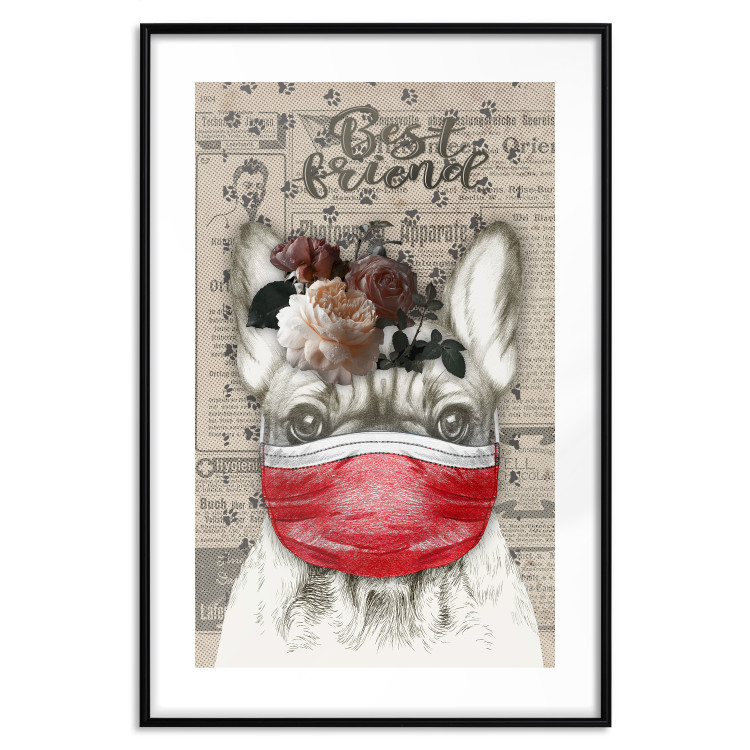 Wall Poster Rufio - humorous fantasy with a purebred dog in a mask and text in the background 129148 additionalImage 15