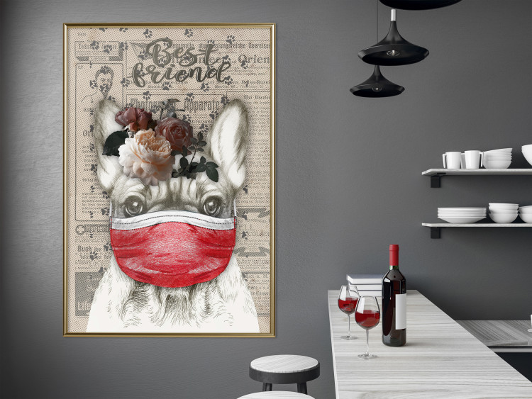 Wall Poster Rufio - humorous fantasy with a purebred dog in a mask and text in the background 129148 additionalImage 7
