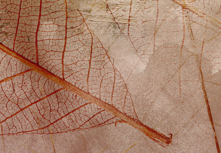 Canvas Art Print Nature's Impression (1-piece) Wide - rustic leaf texture motif 132148 additionalImage 5