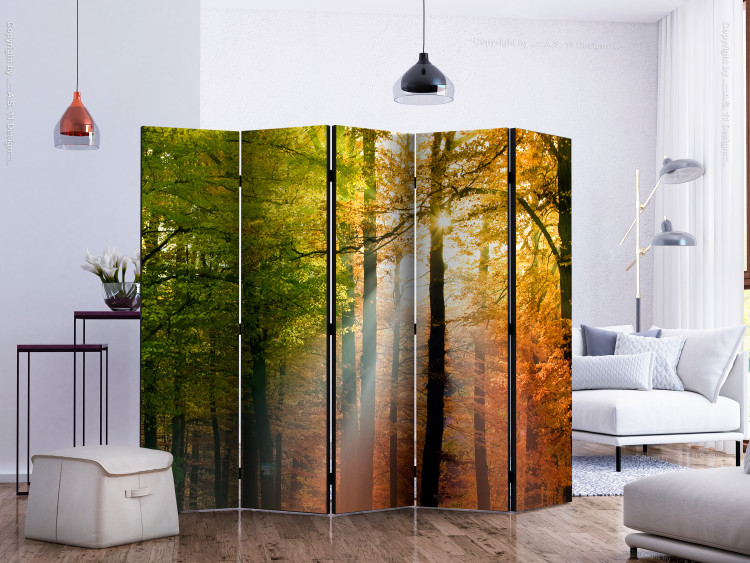Room Divider Screen Forest Colors II (5-piece) - sunny landscape among forest trees 132948 additionalImage 2