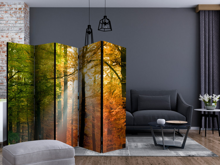 Room Divider Screen Forest Colors II (5-piece) - sunny landscape among forest trees 132948 additionalImage 4