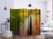 Room Divider Screen Forest Colors II (5-piece) - sunny landscape among forest trees 132948 additionalThumb 2