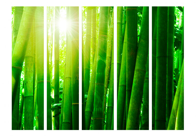 Room Divider Screen Sun and bamboo II [Room Dividers] 133248 additionalImage 3