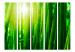 Room Divider Screen Sun and bamboo II [Room Dividers] 133248 additionalThumb 3