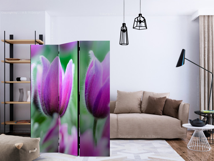 Room Divider Purple Spring Tulips - colorful flowers against green foliage 133948 additionalImage 4