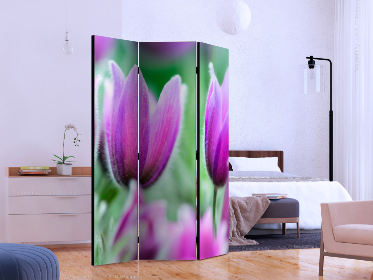 Room Divider Purple Spring Tulips - colorful flowers against green foliage 133948 additionalImage 2