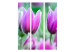 Room Divider Purple Spring Tulips - colorful flowers against green foliage 133948 additionalThumb 3