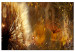 Large canvas print Amber Morning [Large Format] 137548