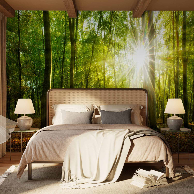 Wall Mural Sunlight penetrating through the treetops - landscape of green forest and leaves 138048 additionalImage 2