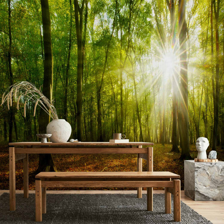 Wall Mural Sunlight penetrating through the treetops - landscape of green forest and leaves 138048 additionalImage 6