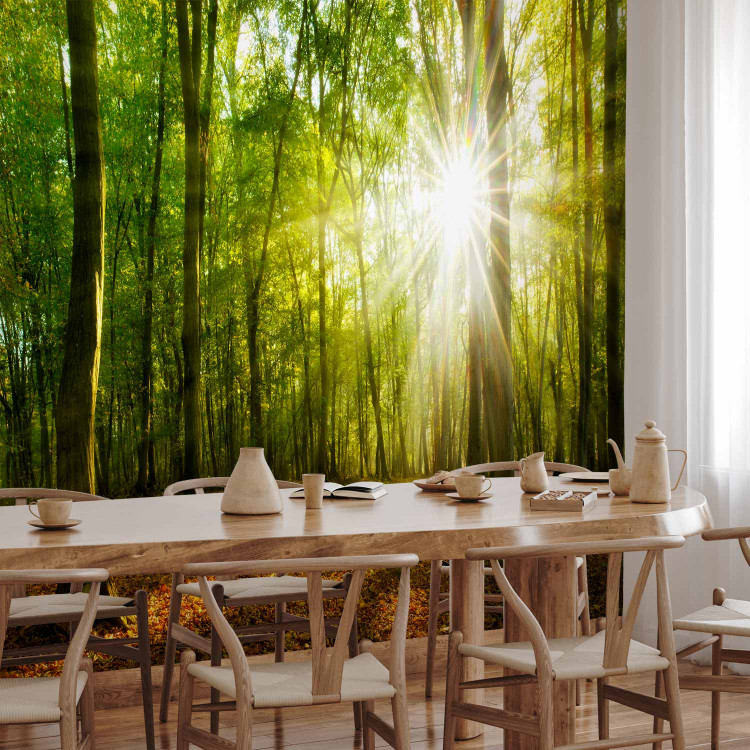 Wall Mural Sunlight penetrating through the treetops - landscape of green forest and leaves 138048 additionalImage 7