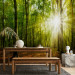 Wall Mural Sunlight penetrating through the treetops - landscape of green forest and leaves 138048 additionalThumb 6