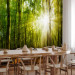 Wall Mural Sunlight penetrating through the treetops - landscape of green forest and leaves 138048 additionalThumb 7