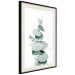 Poster Eucalyptus - Green Branch of a Plant on a White Background 146148 additionalThumb 8