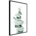 Poster Eucalyptus - Green Branch of a Plant on a White Background 146148 additionalThumb 4