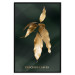 Poster Mango Leaves - Branch in Warm Tones on a Dark Background 148848 additionalThumb 22