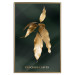 Poster Mango Leaves - Branch in Warm Tones on a Dark Background 148848 additionalThumb 23