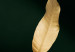 Poster Mango Leaves - Branch in Warm Tones on a Dark Background 148848 additionalThumb 3